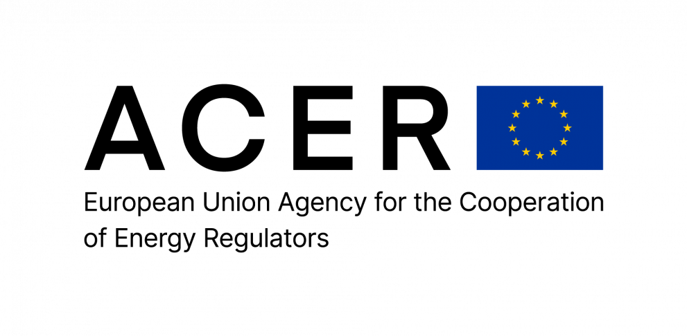 European hydrogen markets-2024 Market Monitoring Report