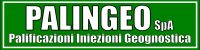 IL CDA DI PALINGEO HA APPROVATO IL PROGETTO DI BILANCIO AL 31 DICEMBRE 2024