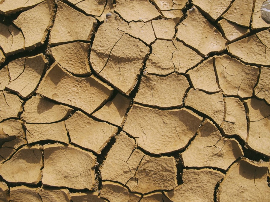 La commissione Ue premia un progetto italiano contro la desertificazione