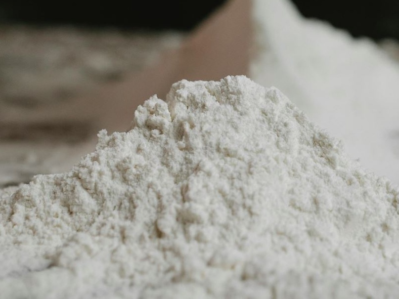 Ue: autorizzato il commercio della larva della farina