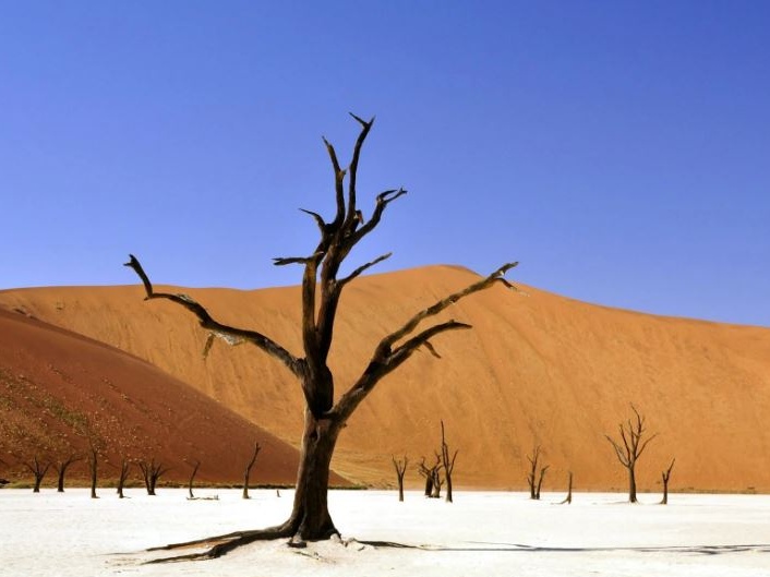 La Namibia ricorda il genocidio tedesco che uccise 70.000 africani