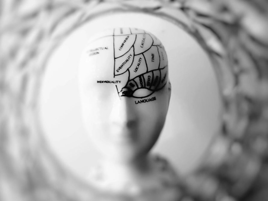 Scoperta una finestra critica per l'invecchiamento cerebrale