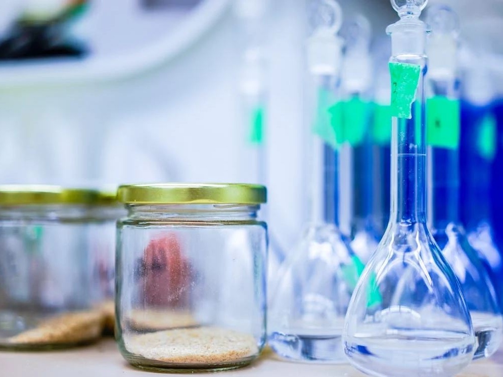 Dalla scoperta di una città perduta alla speranza di salvare il rinoceronte bianco: le vittorie scientifiche del 2024