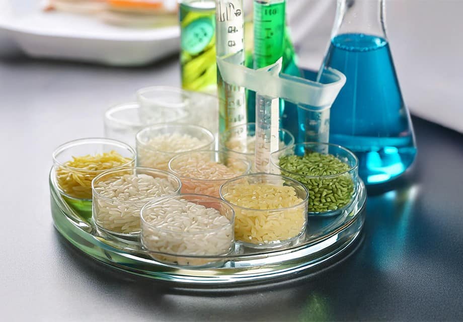 Alimentazione: ENEA testa tecnologia per la tracciabilità del riso italiano