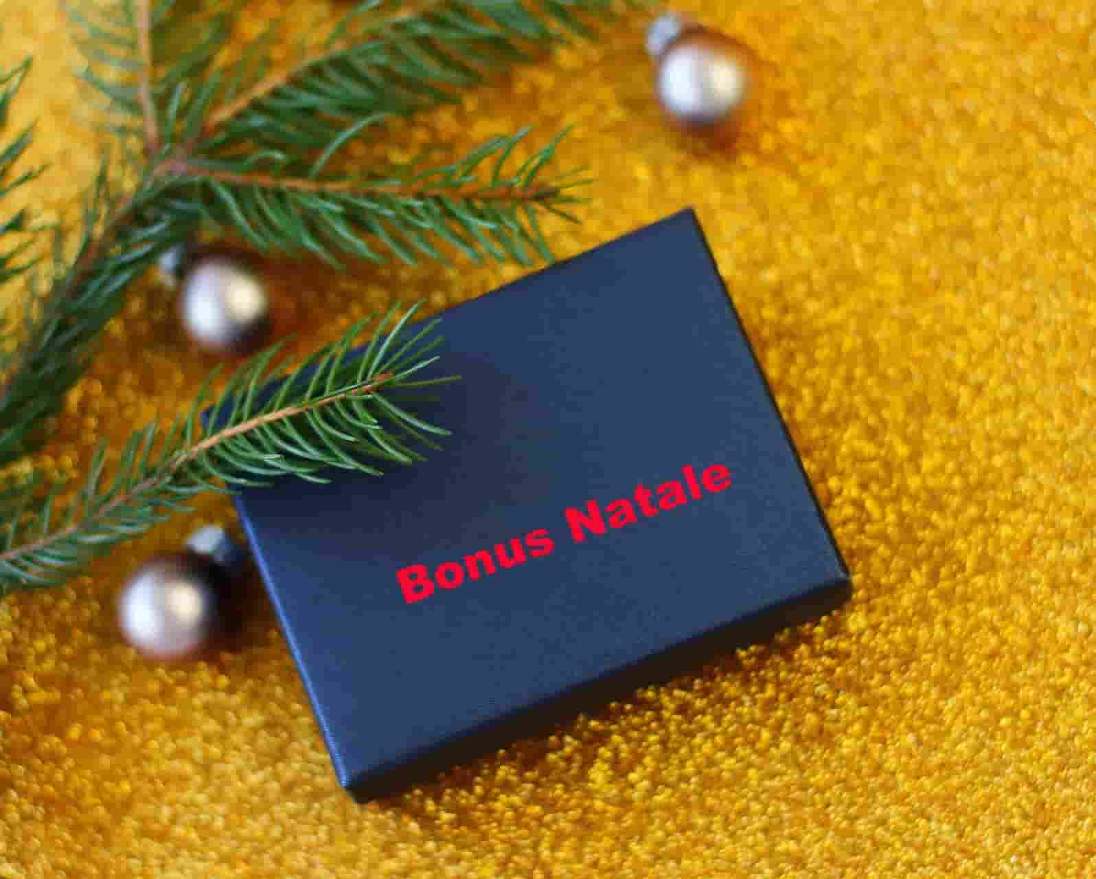 Bonus Natale 2024: in una circolare dell’Agenzia delle Entrate i chiarimenti sulle nuove regole