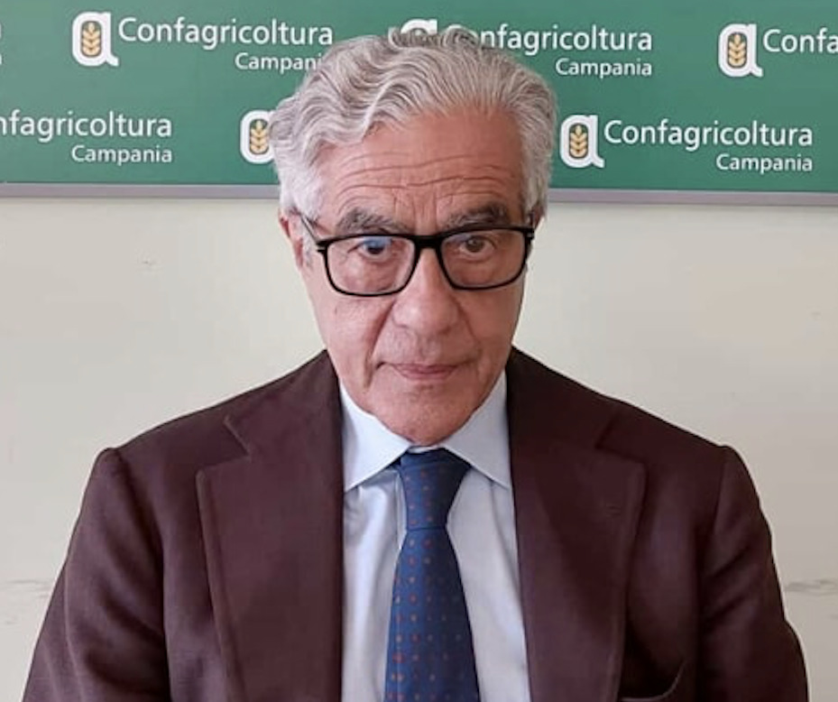 Confagricoltura Campania promuove Skills for Transition, il programma lanciato da UniCredit