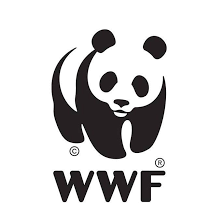 Acciaio verde: WWF, la decarbonizzazione è possibile